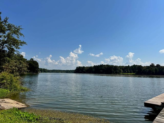 170 Pine Top Court, Havana, FL 32333