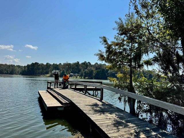 170 Pine Top Court, Havana, FL 32333