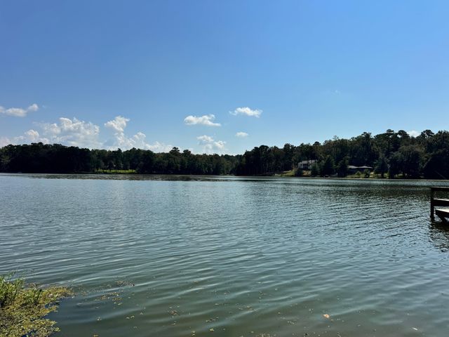 170 Pine Top Court, Havana, FL 32333