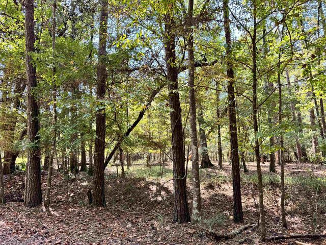 170 Pine Top Court, Havana, FL 32333