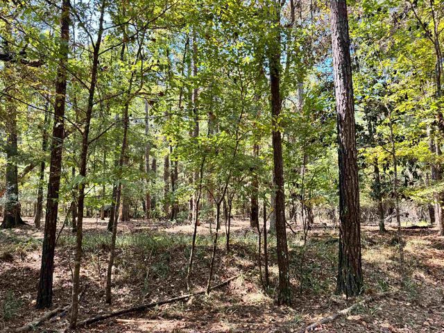 170 Pine Top Court, Havana, FL 32333