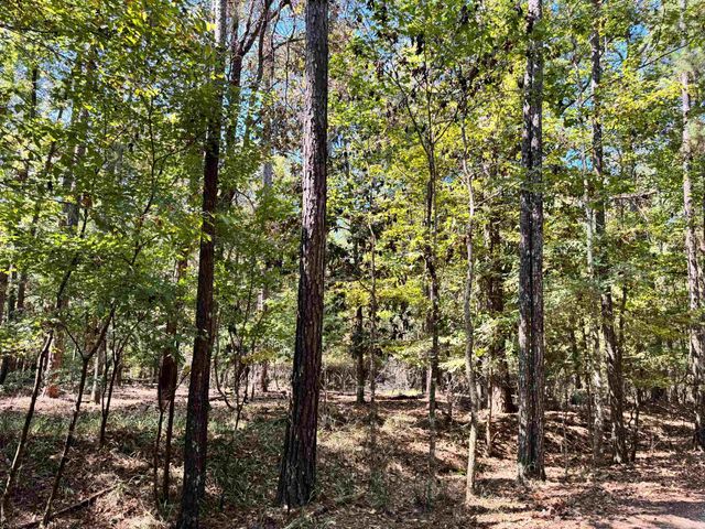 170 Pine Top Court, Havana, FL 32333