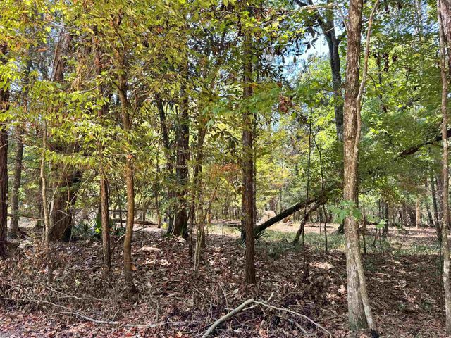 170 Pine Top Court, Havana, FL 32333