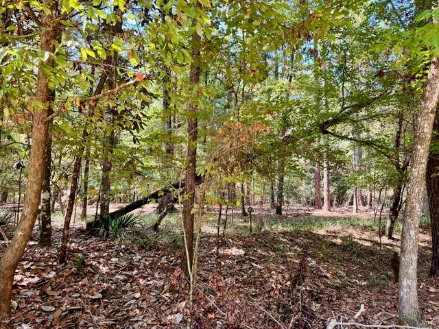 170 Pine Top Court, Havana, FL 32333