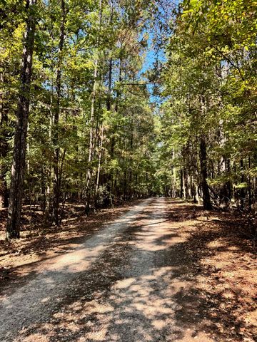 170 Pine Top Court, Havana, FL 32333