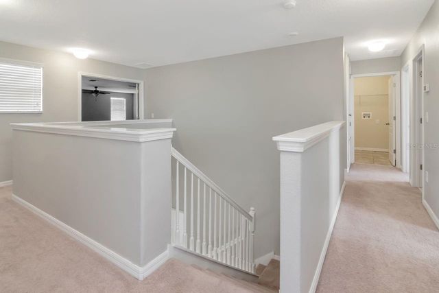 13939 FELIX WILL ROAD, Riverview, FL 33579