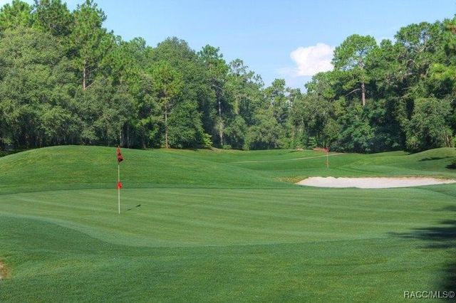 168 W Citrus Springs Boulevard, Citrus Springs, FL 34434