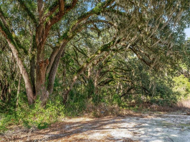 950 NE 200TH AVENUE, Williston, FL 32696