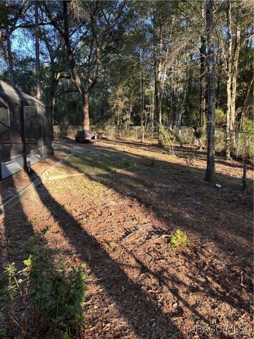 1570 W Datura Lane, Citrus Springs, FL 34434