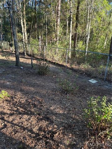 1570 W Datura Lane, Citrus Springs, FL 34434