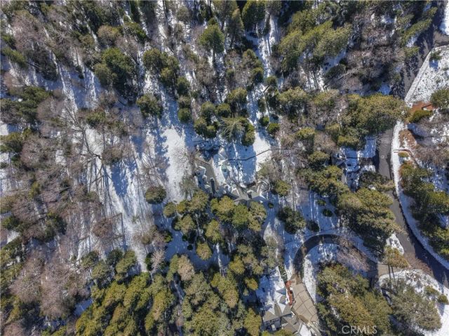 29223 Pigeon Hawk, Lake Arrowhead, CA 92352