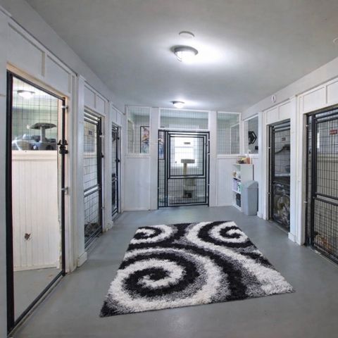 42W534 Empire Road, St. Charles, IL 60175