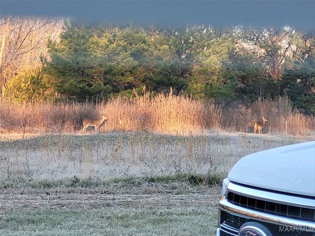 13871 Old Pike Road, Mathews, AL 36052