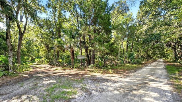 266 DRAYTON ISLAND ROAD, Georgetown, FL 32139