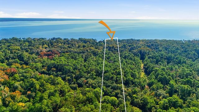 266 DRAYTON ISLAND ROAD, Georgetown, FL 32139