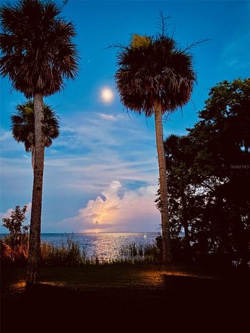 266 DRAYTON ISLAND ROAD, Georgetown, FL 32139