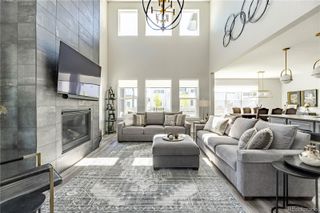 146 Kitselman Drive, Castle Rock, CO 80104