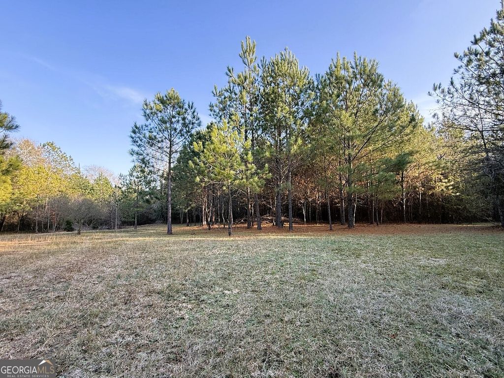 0 Stinchcomb Road, Elberton, GA 30635 — photo 2
