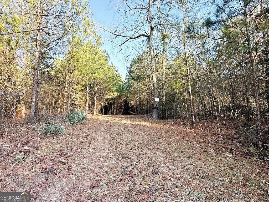 0 Stinchcomb Road, Elberton, GA 30635 — photo 3