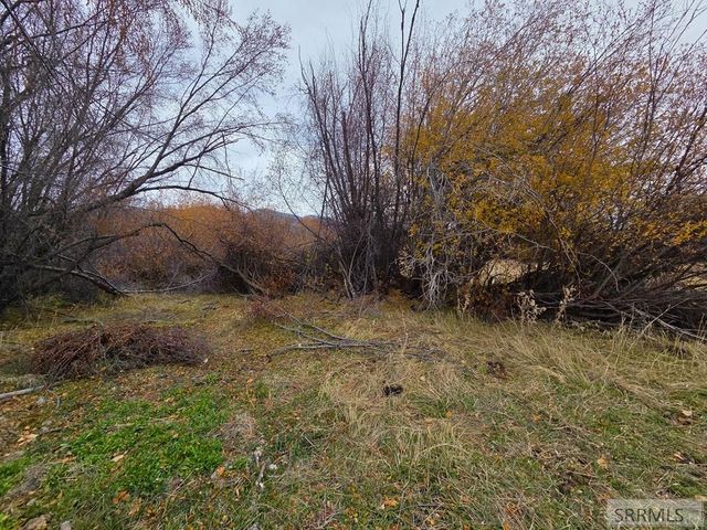 1119 Hwy 28, Salmon, ID 83467