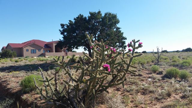 337 Scholle Road, Mountainair, NM 87036