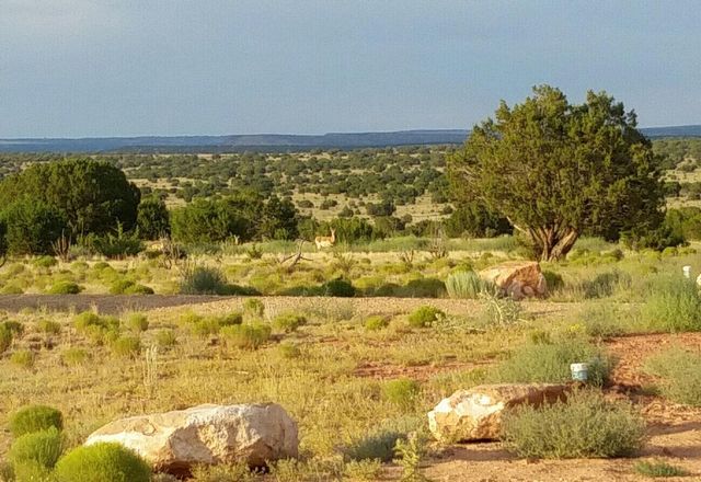 337 Scholle Road, Mountainair, NM 87036