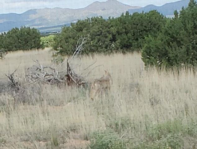 337 Scholle Road, Mountainair, NM 87036