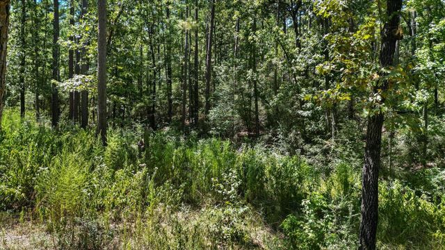 188 Camp Road, Trinity, TX 75862