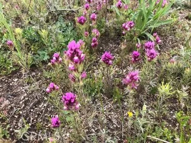 0 Vista Del Valle, Hemet, CA 92544