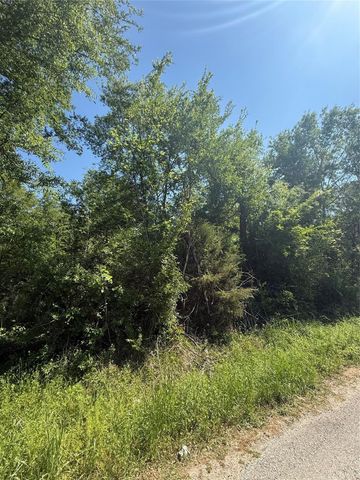 112 Brazil Boulevard, Huntsville, TX 77320