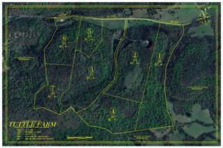 0 Red Tuttle Road, Bethpage, TN 37022