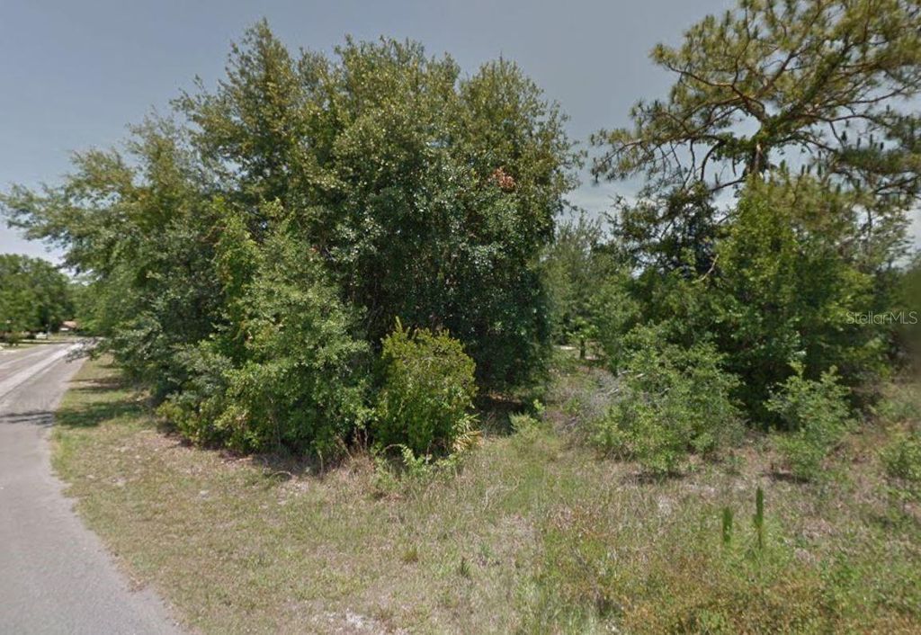 84 CHINABERRY CIRCLE, Homosassa, FL 34446