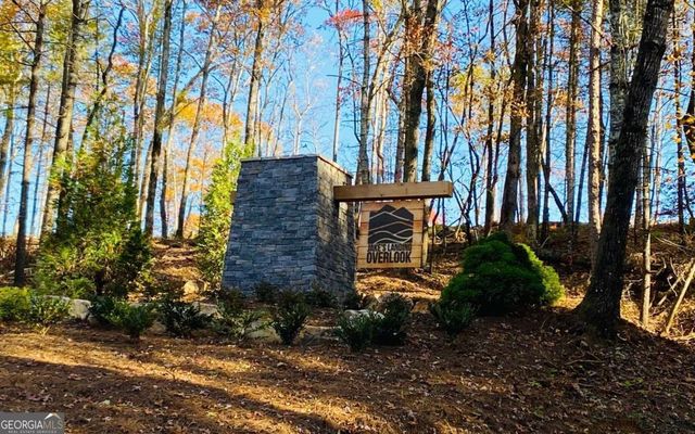 78 Lake Top Lane, Ellijay, GA 30540