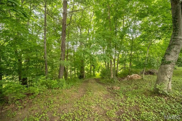 3037 Upper Moss Hollow Road, Barnhart, MO 63012