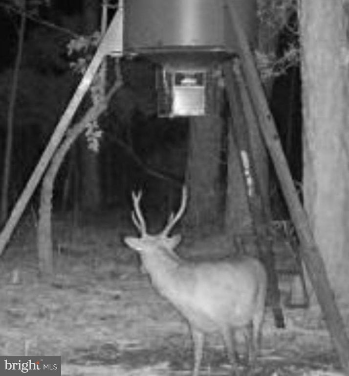 0 ELLIOTT ISLAND RD, Vienna, MD 21869