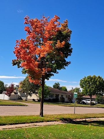 524 Irving Avenue SW, Wadena, MN 56482