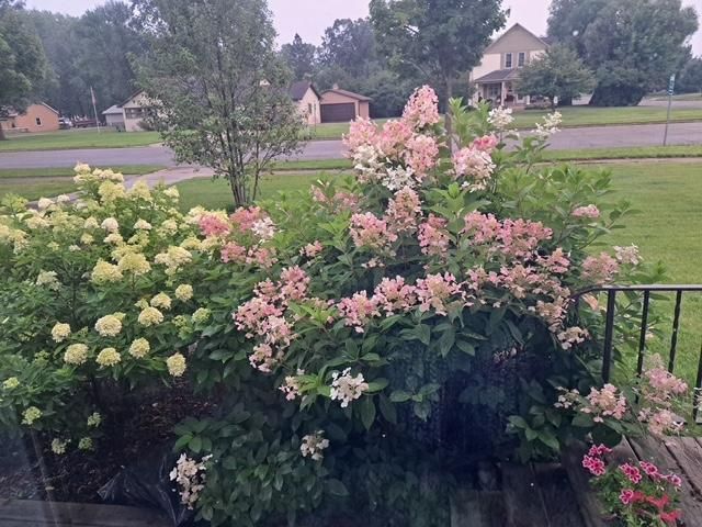 524 Irving Avenue SW, Wadena, MN 56482