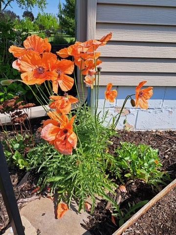 524 Irving Avenue SW, Wadena, MN 56482