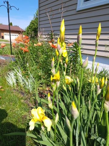 524 Irving Avenue SW, Wadena, MN 56482