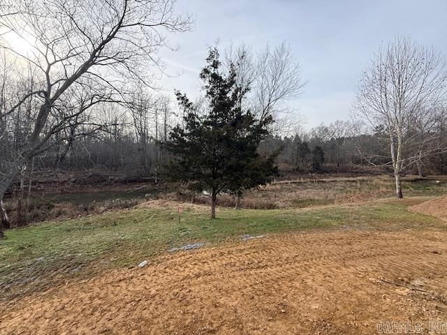 63 Wilhelmina Cove, Conway, AR 72032