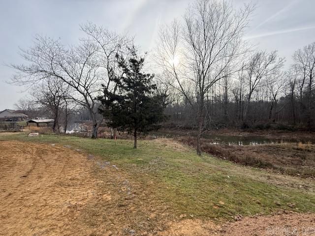 63 Wilhelmina Cove, Conway, AR 72032