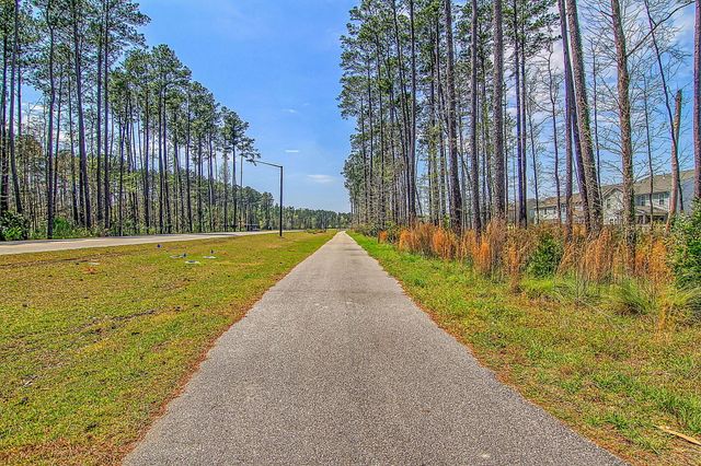 250 Surfbird Road, Summerville, SC 29486