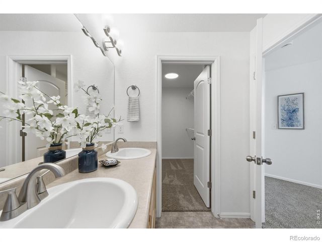 354 Shadowbrook Drive, Windsor, CO 80550