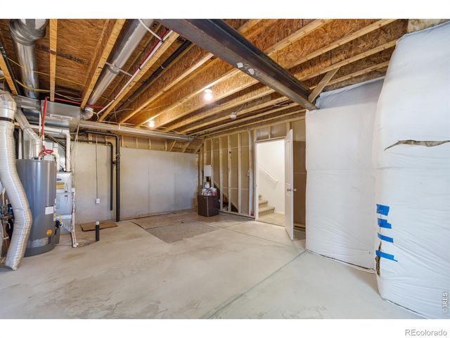 354 Shadowbrook Drive, Windsor, CO 80550