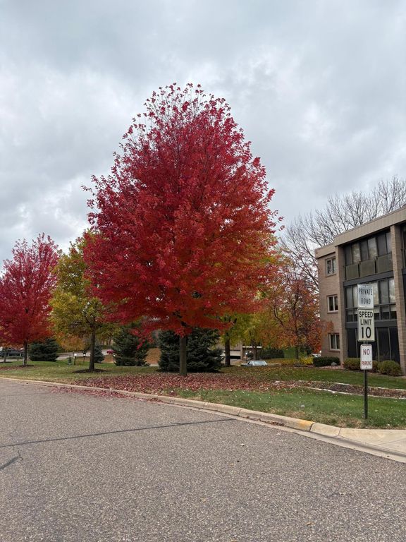 4350 Brookside Court 302, Edina, MN 55436 — exterior