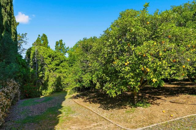 1003 Via Unidos, Fallbrook, CA 92028