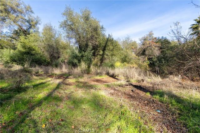 351 Oakvale, Oroville, CA 95966