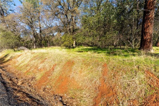 351 Oakvale, Oroville, CA 95966