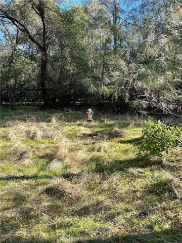 351 Oakvale, Oroville, CA 95966