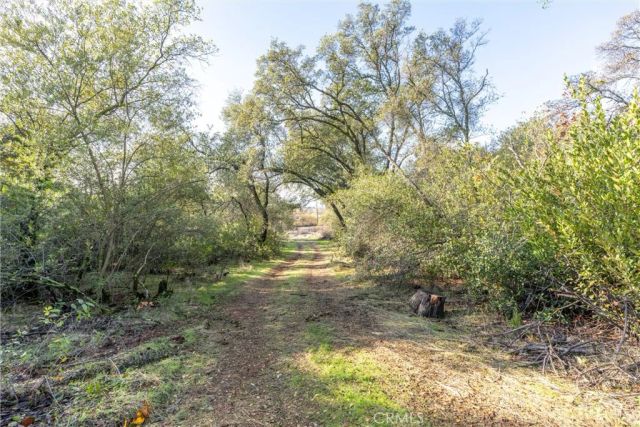 351 Oakvale, Oroville, CA 95966